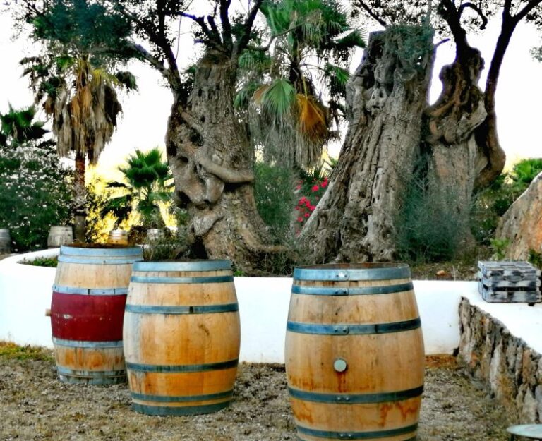Ibiza Traditional Wine Tasting & Culture Tour