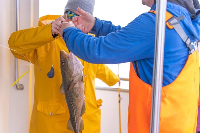 Icelandic Sea Fishing From Reykjavik