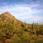 1 iconic toms thumb hiking adventure in scottsdale Iconic Toms Thumb Hiking Adventure in Scottsdale