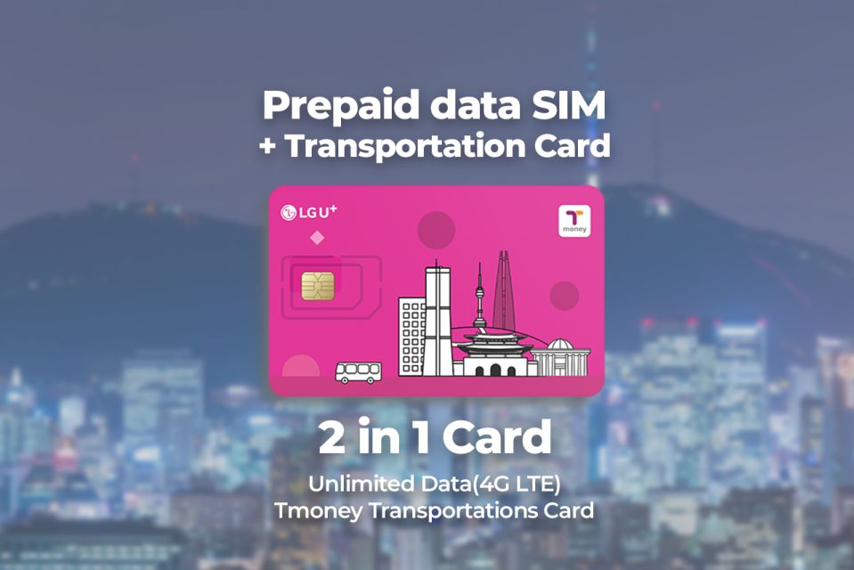 1 incheon airport traveler sim t money transportation card Incheon Airport: Traveler SIM & T-money Transportation Card