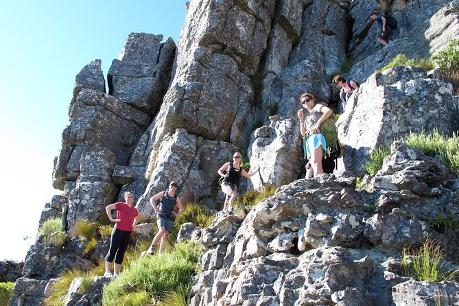 1 india venster route hiking in table mountain from cape town India Venster Route: Hiking in Table Mountain From Cape Town