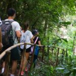 1 inthanon national park tour with soft hike at pha dok siew trail Inthanon National Park Tour With Soft Hike at Pha Dok Siew Trail