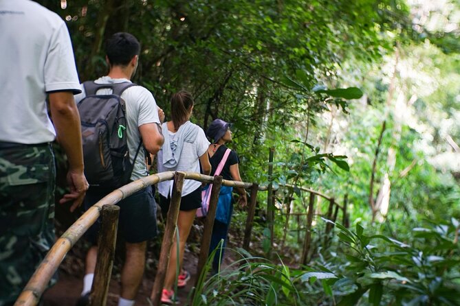 1 inthanon national park tour with soft hike at pha dok siew trail Inthanon National Park Tour With Soft Hike at Pha Dok Siew Trail