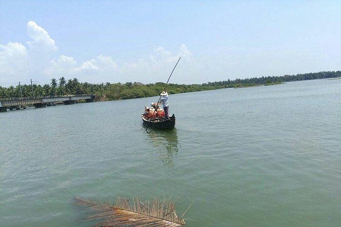 1 into the mangroves calicut mangrove trail by tyndis Into the Mangroves: Calicut Mangrove Trail by Tyndis