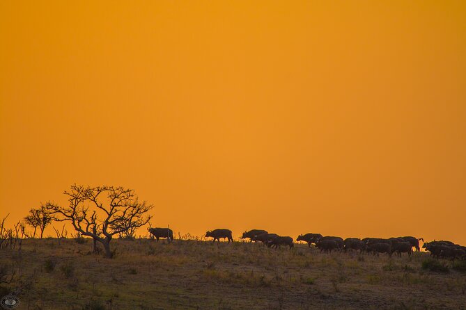 1 isimangaliso sunset game drive Isimangaliso Sunset Game Drive