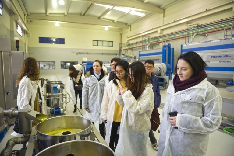 Jaén: Olive Mill Tour and Olive Oil Tasting Experience