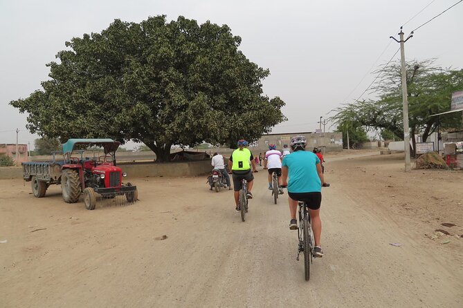 Jaipur Village Cycling Safari