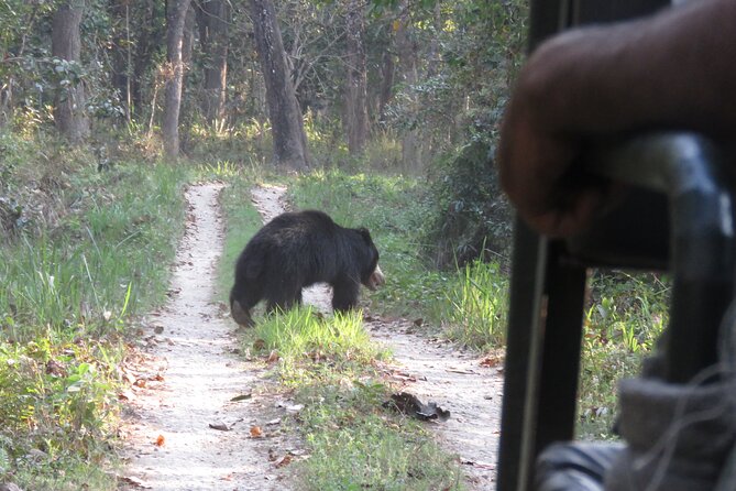 Jeep Safari ( Inside Chitwan National Park, 8-10 Hrs.). - Exclusions