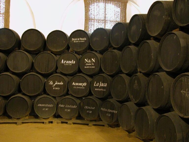 Jerez: Bodegas Álvaro Domecq Guided Tour With Wine Tasting