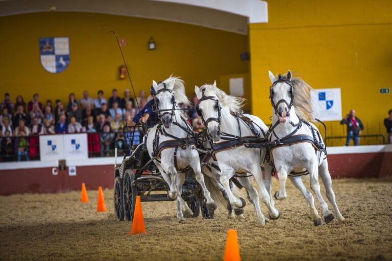 Jerez: Cartuja Stud Farm Carthusian Horses Tour