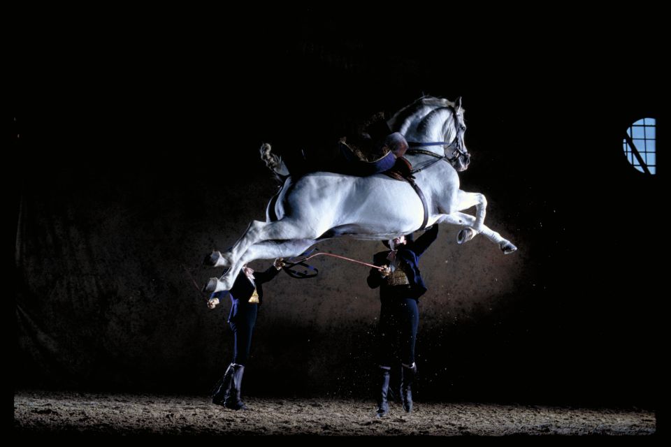 1 jerez de la frontera andalusian horse dance and museums Jerez De La Frontera: Andalusian Horse Dance and Museums