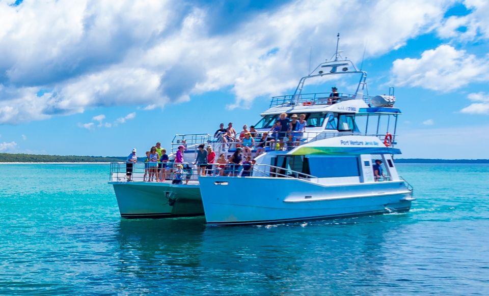 1 jervis bay 1 5 hour dolphin cruise Jervis Bay: 1.5-Hour Dolphin Cruise