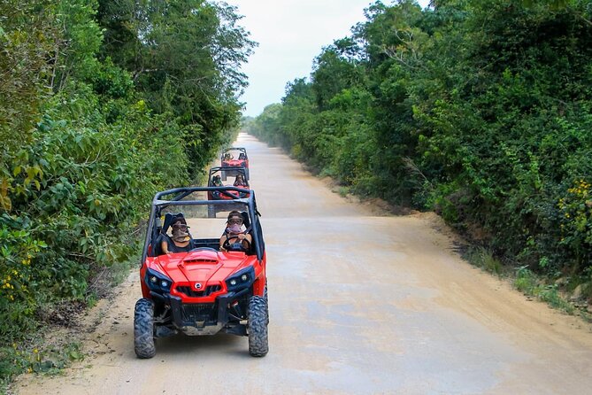 Jungle Buggy Tour From Playa Del Carmen Including Cenote Swim