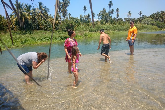 Jungle Coyuca Lagoon Boat Ride Experience & Baby Turtle Release