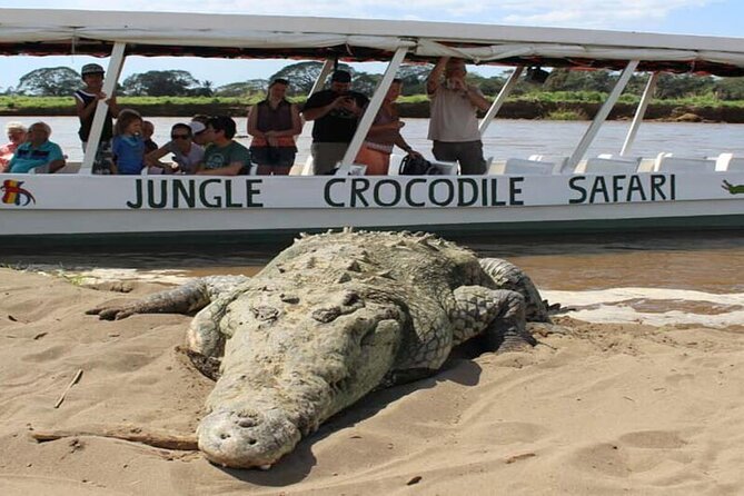 Jungle Crocodile Safari - Punta Arenas Highlights - Booking Details and Pricing