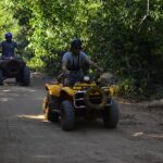 1 jungle tour atv tour zip lines cenote and roundtrip transportation Jungle Tour: ATV Tour, Zip Lines, Cenote and Roundtrip Transportation