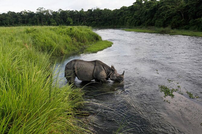 Jungle Tower Night Stay in Chitwan National Park 2 Nights 3 Days