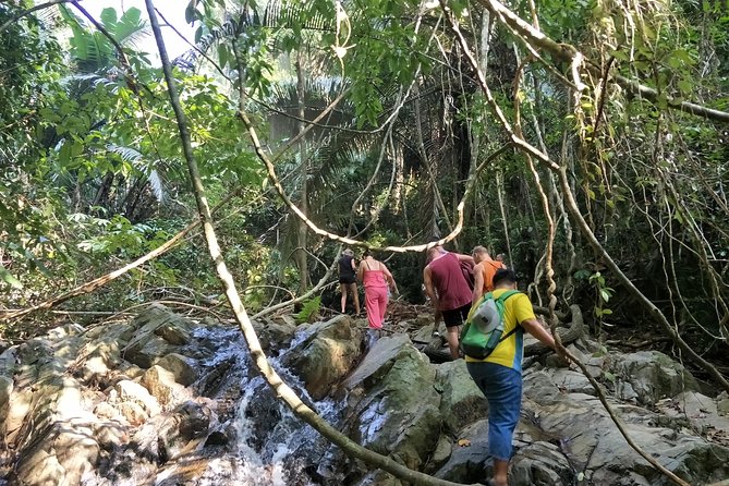 Jungle Trekking - Essential Gear for Jungle Trekking