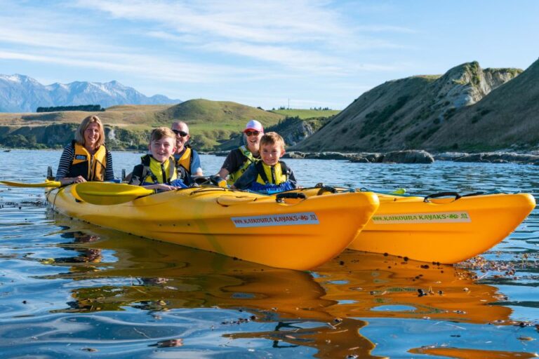 Kaikoura: Guided Family Kayaking Adventure