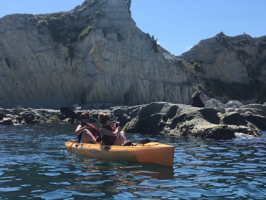 1 kaikoura seal watching pedal kayak tour Kaikoura: Seal-Watching Pedal Kayak Tour