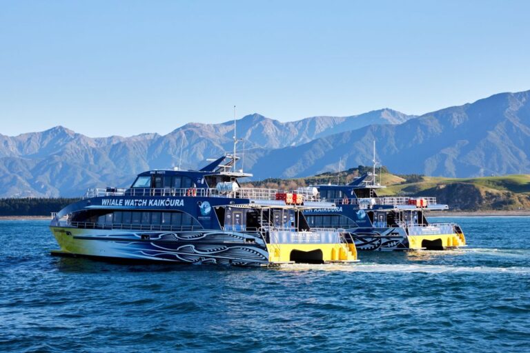 Kaikoura: Whale Watching Cruise