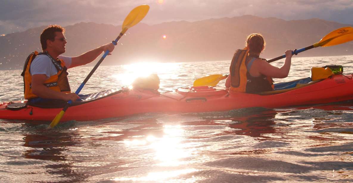 1 kaikoura wildlife kayaking tour at sunset Kaikoura: Wildlife Kayaking Tour at Sunset