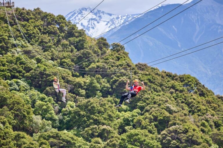 Kaikōura: Zipline and Native Forest Adventure Trip