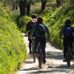 1 kalamata olive grove e mountain bike tour with picnic lunch Kalamata: Olive Grove E-Mountain Bike Tour With Picnic Lunch