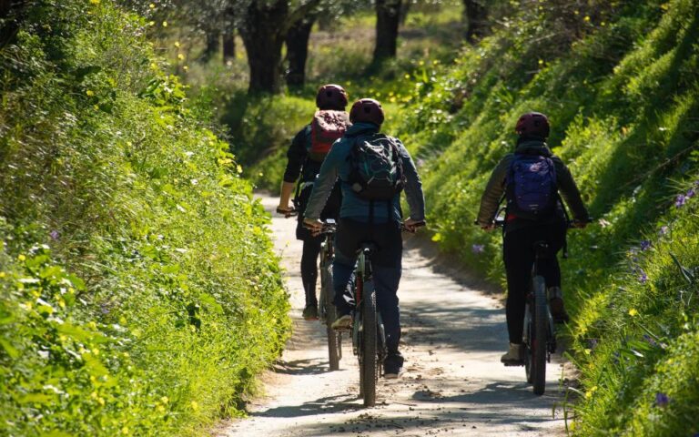 Kalamata: Olive Grove E-Mountain Bike Tour With Picnic Lunch