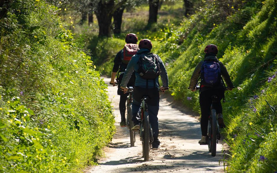 1 kalamata olive grove e mountain bike tour with picnic lunch Kalamata: Olive Grove E-Mountain Bike Tour With Picnic Lunch
