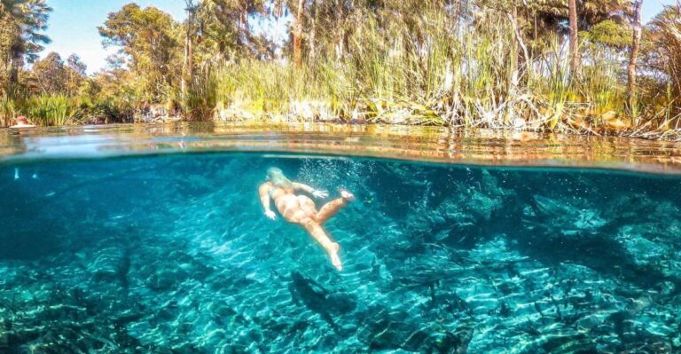 Katherine Gorge – Mataranka – Edith Falls – Adelaide River