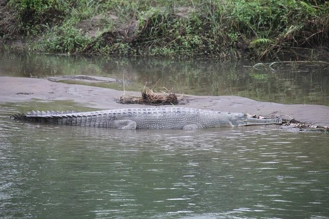 Kathmandu Chitwan Pokhara Tour