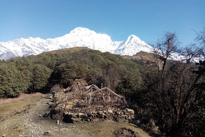 Kathmandu: Mardi Himal Base Camp Trek 4500 Meteres