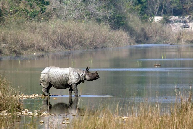 Kathmandu Pokhara & Chitwan Tour With White Water Rafting