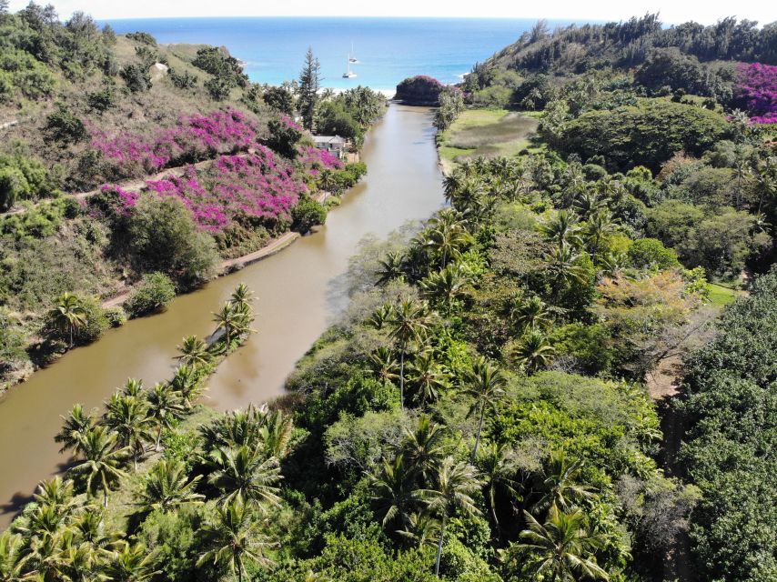 Kauai: Allerton Garden Guided Group Walking Tour - Experience Highlights