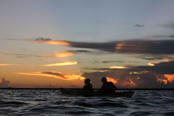 Kayaking and Snorkeling Experience Through Sian Kaan Biosphere Reserve