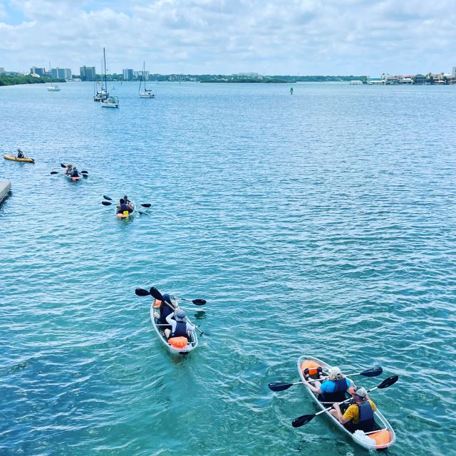 1 kayaking clear through clearwater 2 Kayaking Clear Through Clearwater