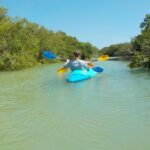 1 kayaking tour through the mangroves in isla holbox Kayaking Tour Through the Mangroves in Isla Holbox