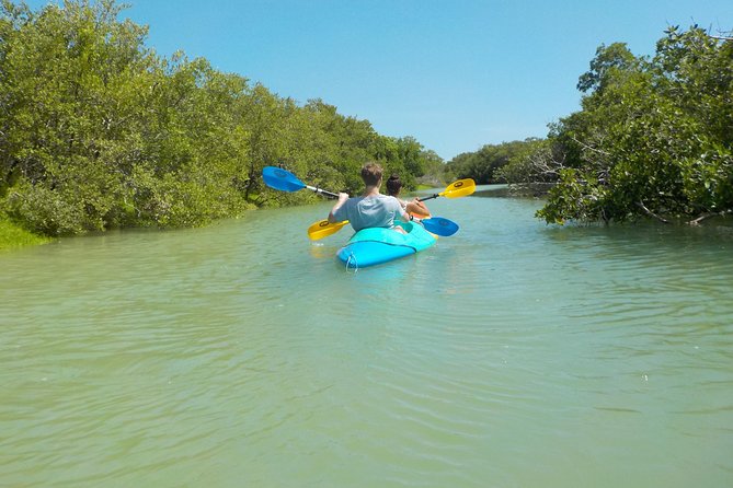 Kayaking Tour Through the Mangroves in Isla Holbox