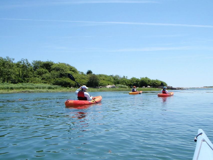 1 kennebunkport cape porpoise half day kayak sup rental Kennebunkport: Cape Porpoise Half-Day Kayak/SUP Rental