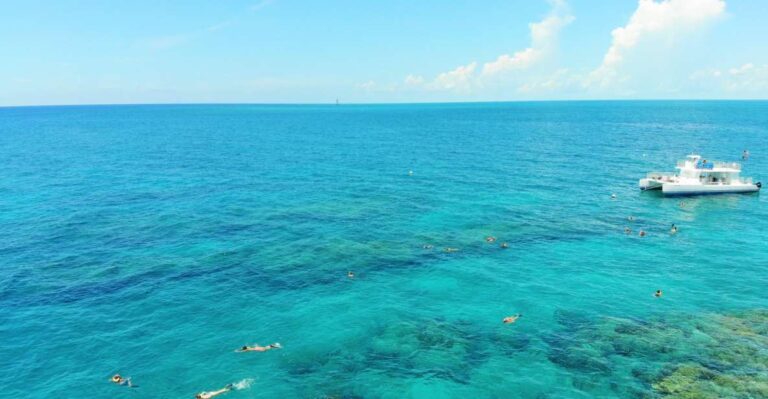 Key West: Sunset Snorkel Cruise With Draft Beer & Wine