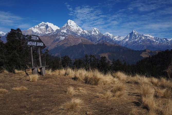 1 khopra mohare and poon hill private guided trek Khopra Mohare and Poon Hill Private Guided Trek