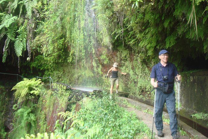 Kings Levada Walk Sao Jorge Native Forest