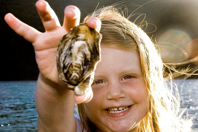 Knysna Oyster Tour