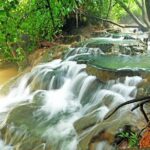 1 krabi rainforest tour emerald pool hot spring tiger cave Krabi Rainforest Tour (Emerald Pool, Hot Spring & Tiger Cave)