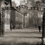 1 krakow and auschwitz full day tour from warsaw by private car Krakow and Auschwitz - Full Day Tour From Warsaw by Private Car