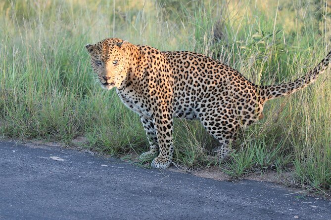 1 kruger national game park three day private tour Kruger National Game Park Three Day PRIVATE Tour