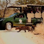 1 kruger national park full day private safari Kruger National Park Full Day Private Safari