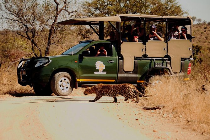 Kruger National Park Full Day Private Safari