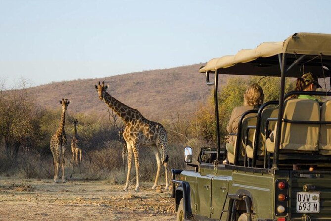Kruger Park Half Day Open Vehicle Safari Drive